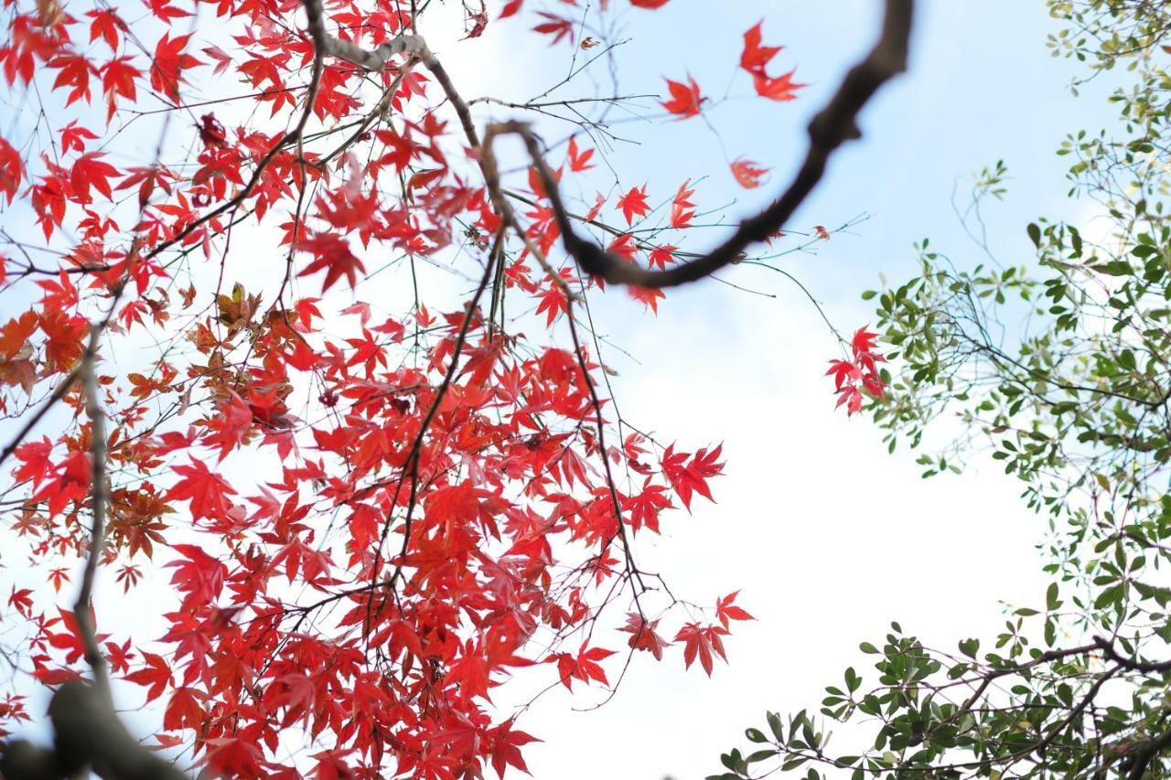 Ryokan Tanoya Киото Экстерьер фото
